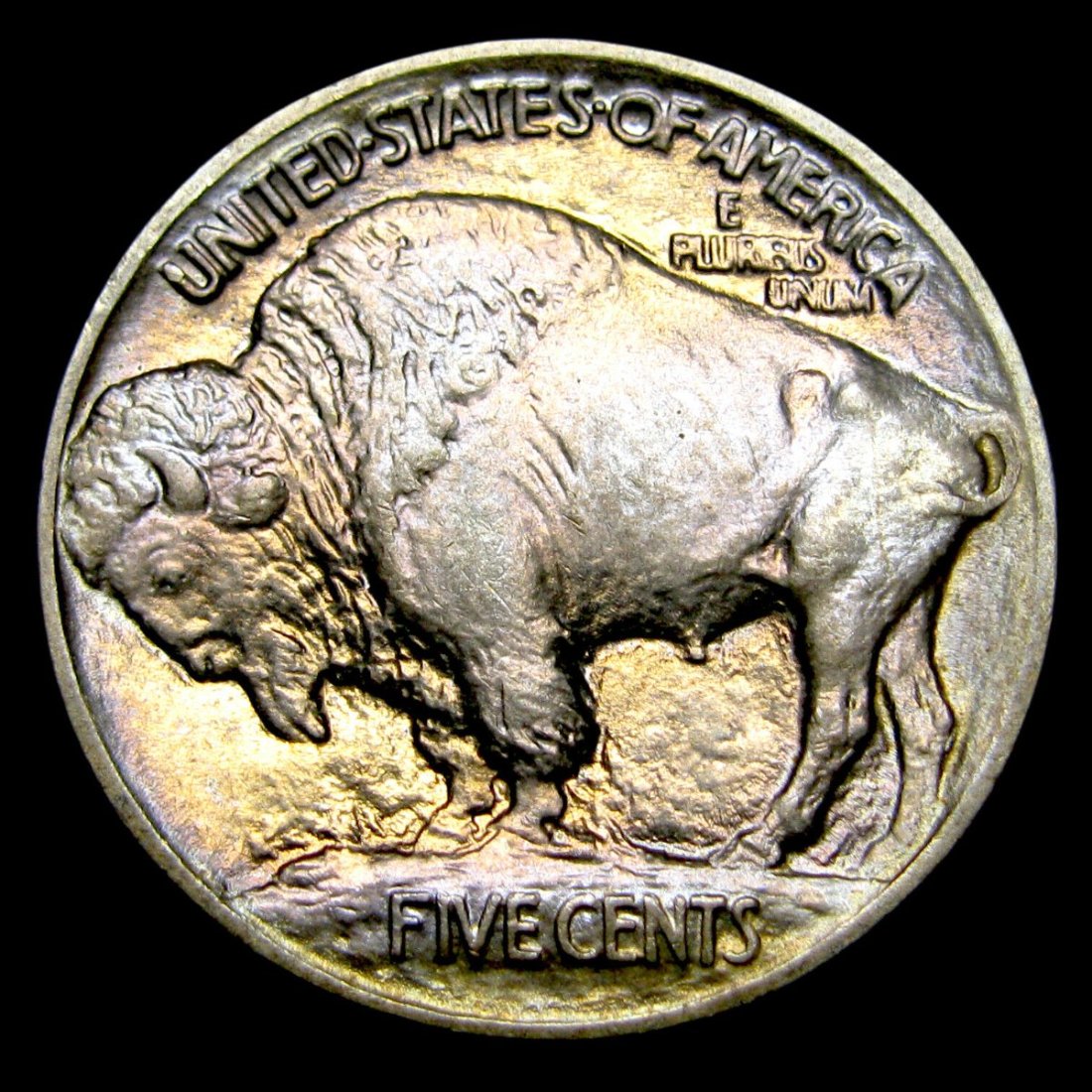 1913-Buffalo-Nickel-For-Grading