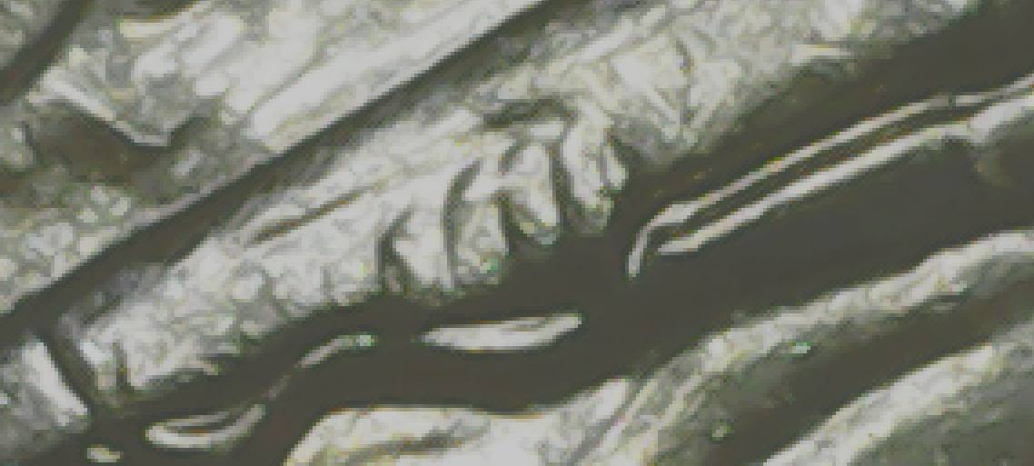 2019-D-War-In-The-Pacific-Die-Crack-Coming-Out-Of-Marines-Rifle.