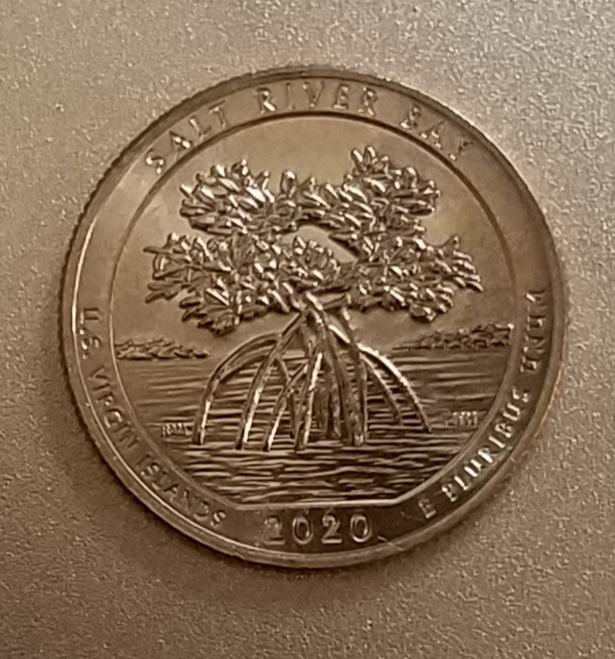 2020-D-Salt-River-Bay-Quarter-DDR?