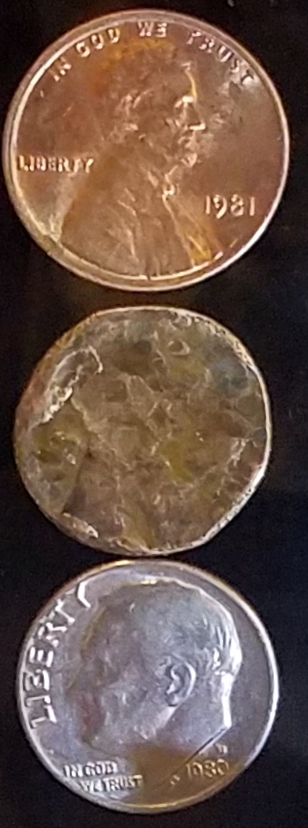 Copper-Coin-With-Reeds.