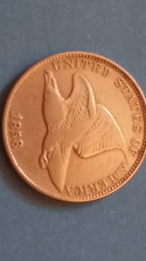 1858/7-Eagle-Clashed-With-20?-Gold?-Interesting-Coin-Here