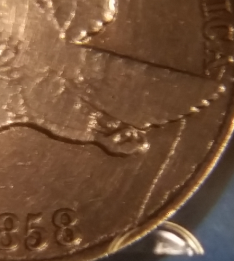 1858/7-Eagle-Clashed-With-20?-Gold?-Interesting-Coin-Here