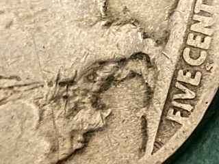 Buffalo-Nickel-Confusion