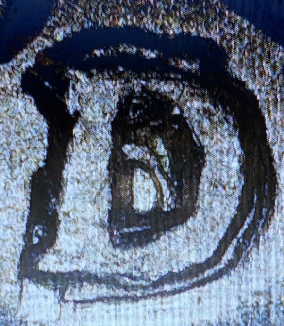 Magnification,-Are-Digital-Microscopes-Any-Good?
