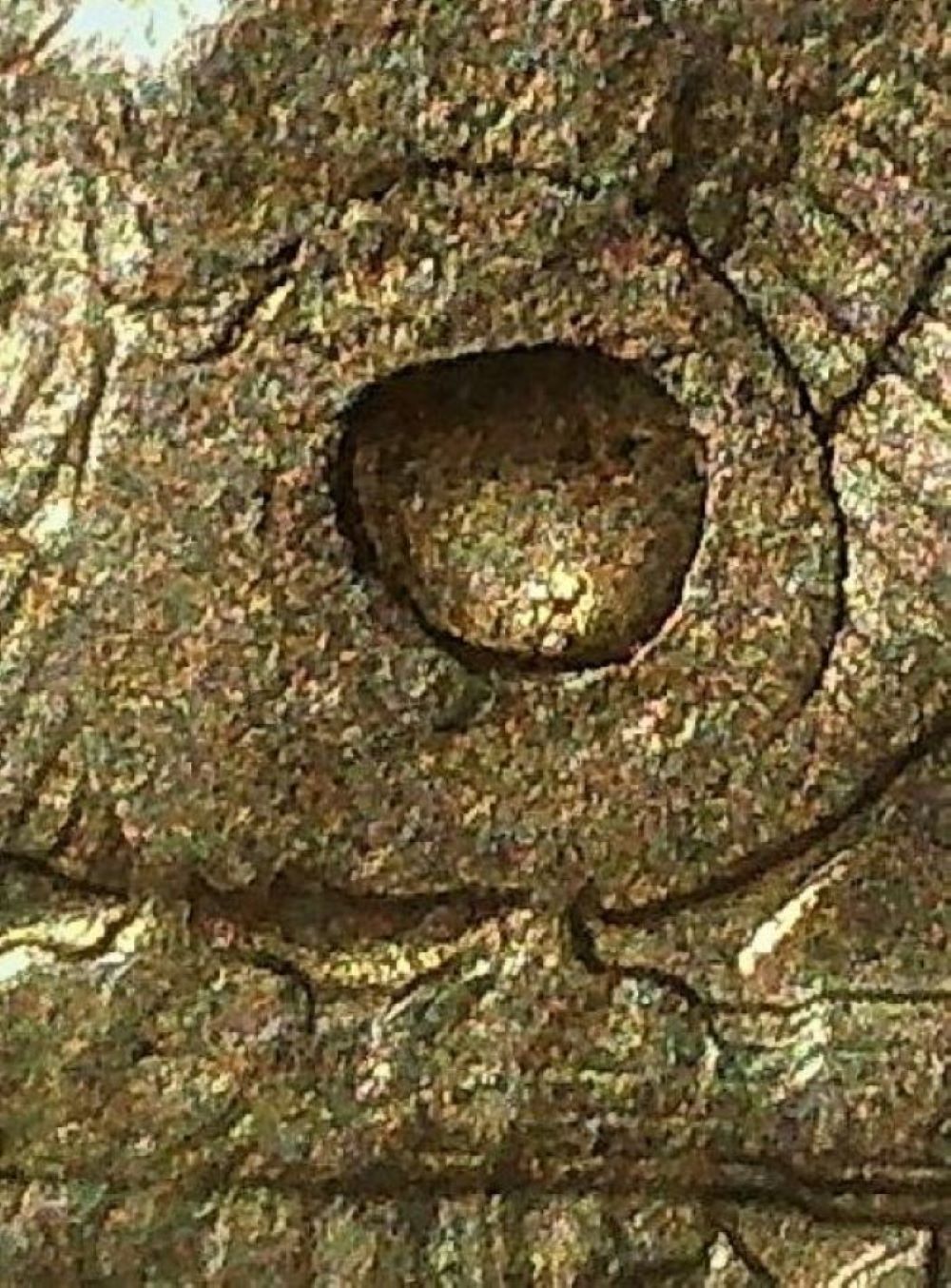 1977-Quarter-Has-Me-Confused