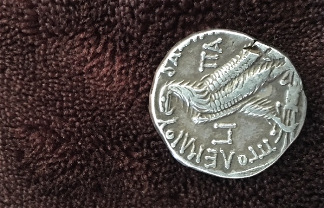 Need-Help-To-Identify-This-Coin-Or-Is-It-A-Fake?