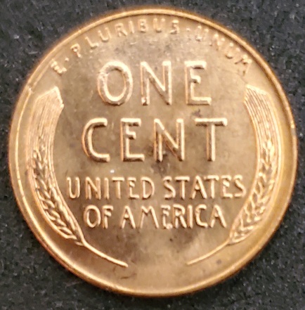 1955-D-LWC-With-Extra-Eyelid