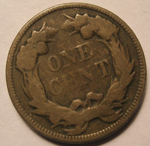 The-Incredible-100-Days-Of-19th-Century-US-Coins!