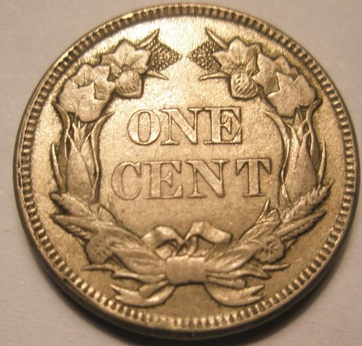 The-100-Days-Of-19th-Century-US-Coins-Plus-64-Days-Of-20th