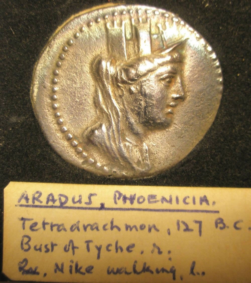 I-Need-Help-With-A-New-World-Coin-Collection!