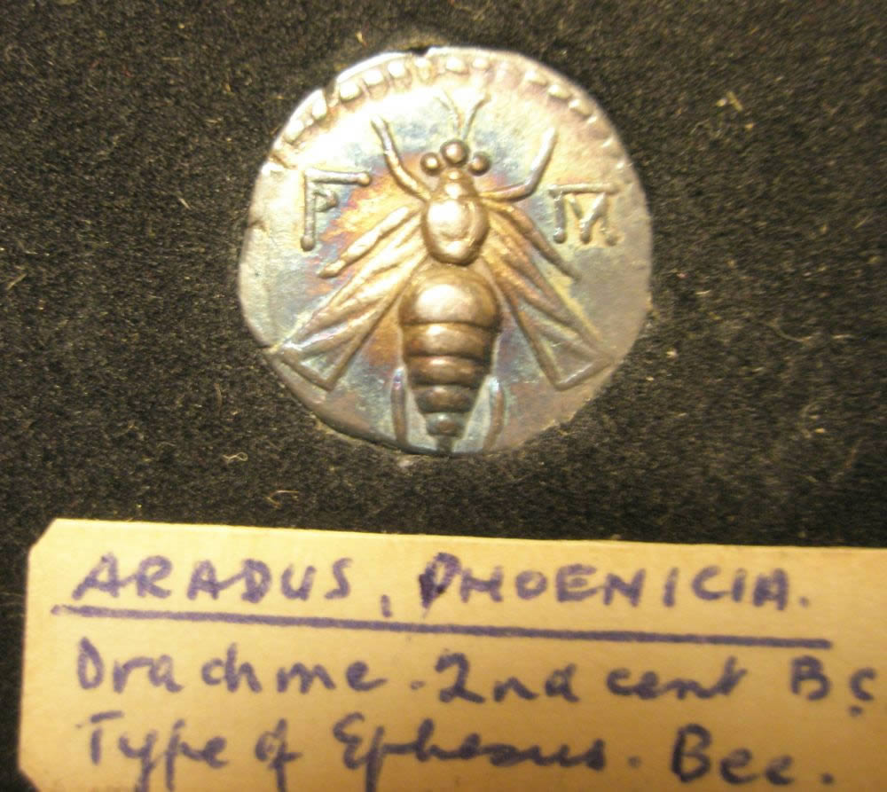 Father-Q's-Ancient-Coins