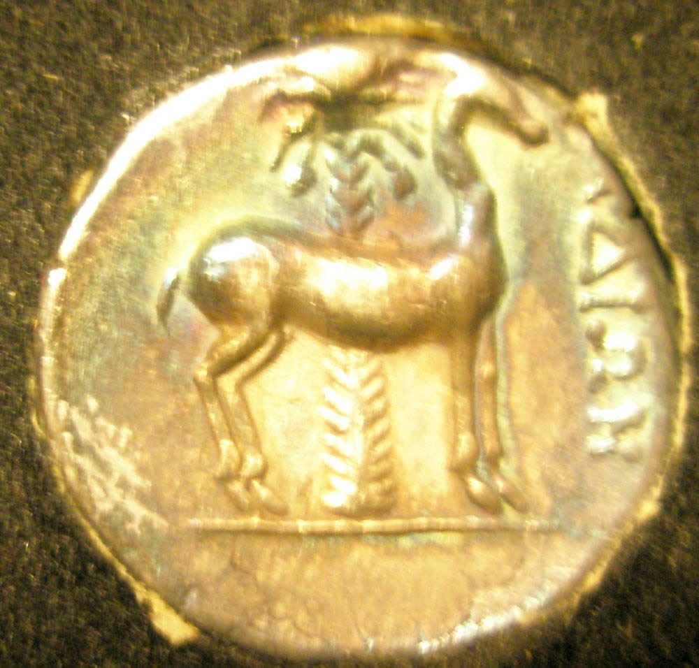 Father-Q's-Ancient-Coins