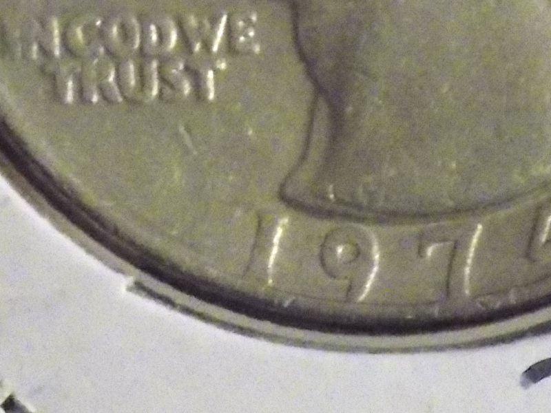 Need-Recommendations-On-Macro-Photos