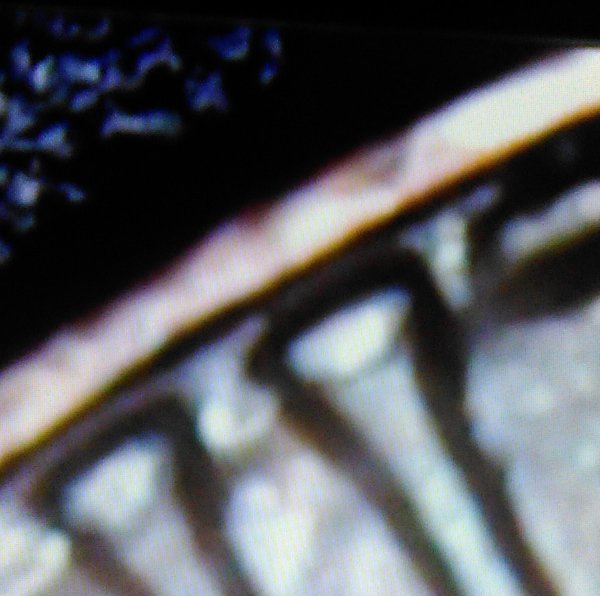 1983-No-Mint-Mark-Seems-To-Have-Edge-Error