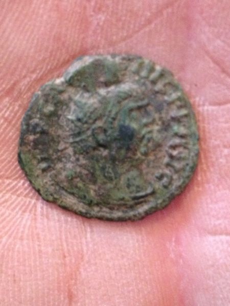 My-Friends-Carausius
