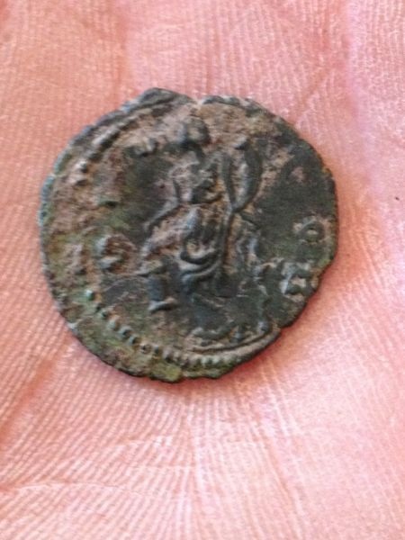 My-Friends-Carausius