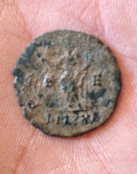 My-Friends-Carausius