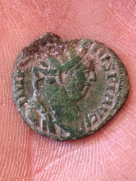 My-Friends-Carausius
