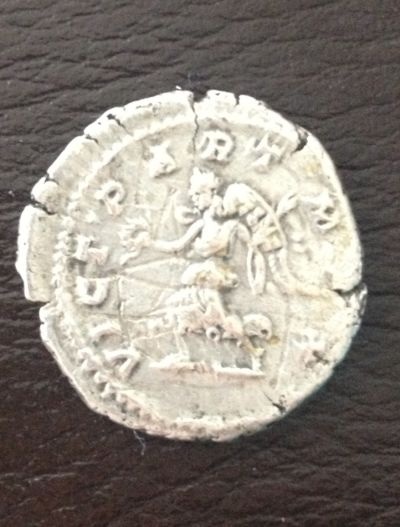 Question-About-Fakes-.
