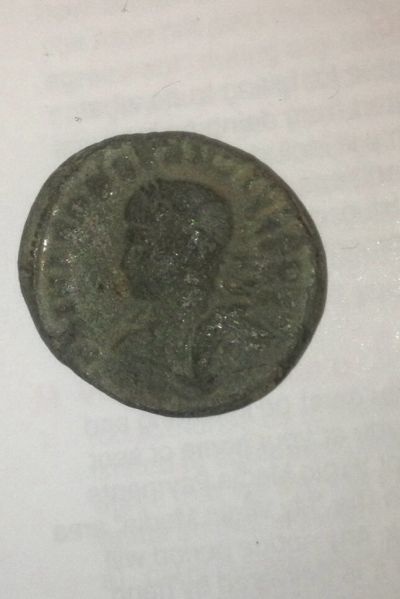 Help-With-Mint