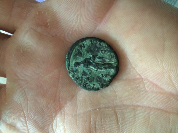Help-With-ID-Please