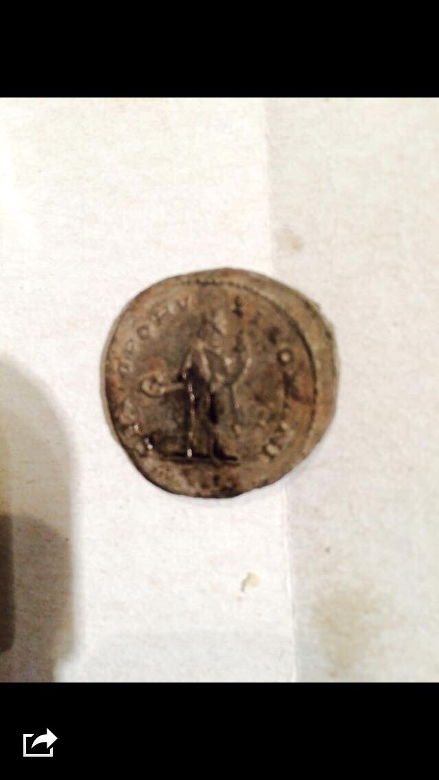 Help-With-ID-Please