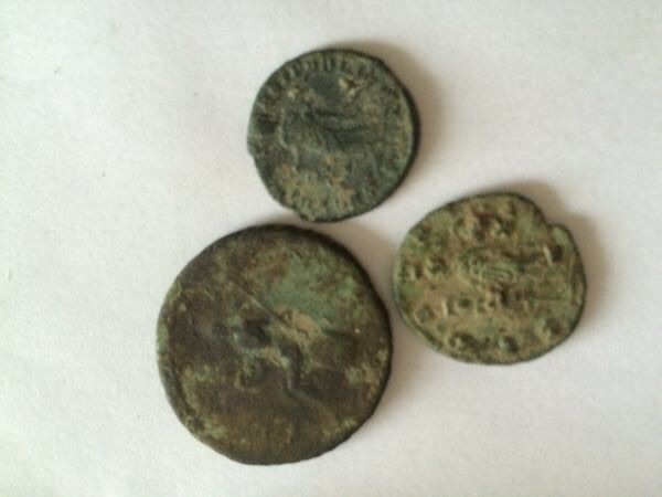 Help-With-ID-Please