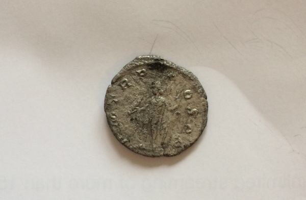 Thin-Denarius