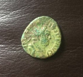 New-Carausius