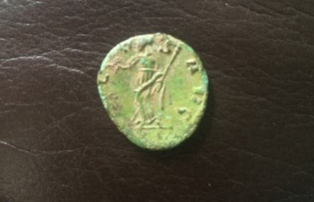 New-Carausius