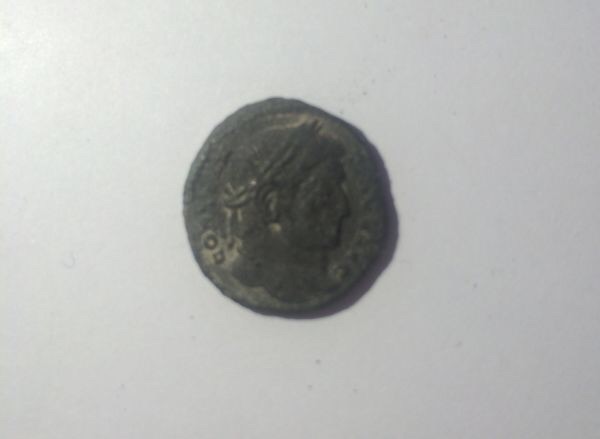 Help-With-ID-Please