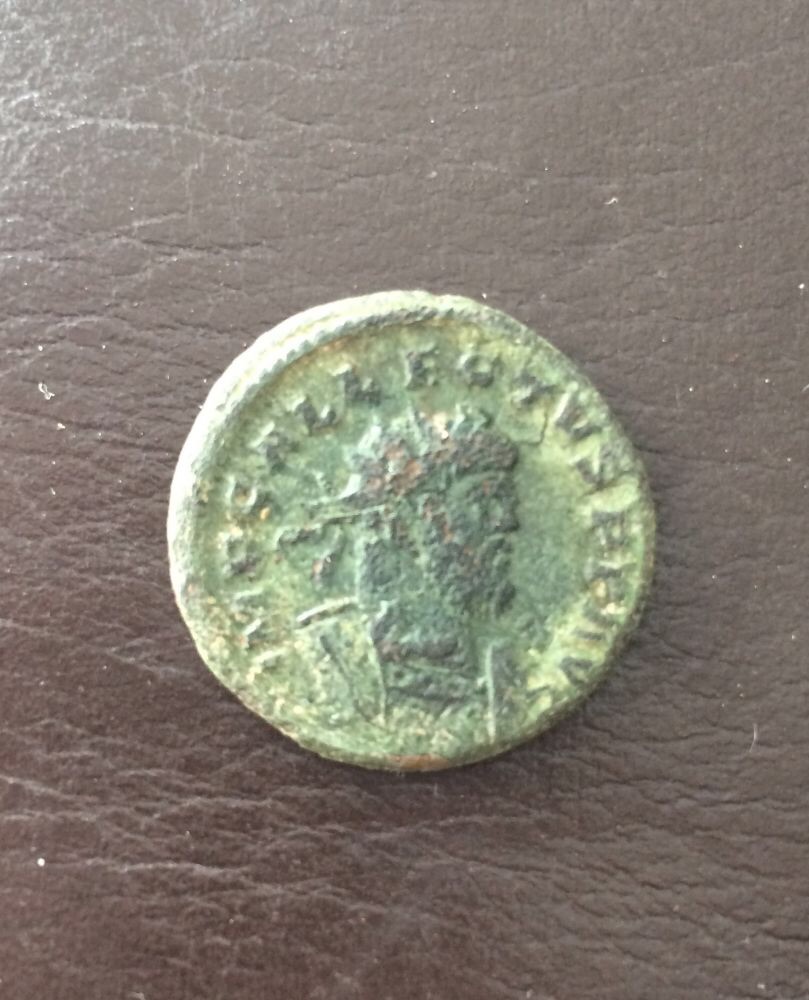New-Allectus