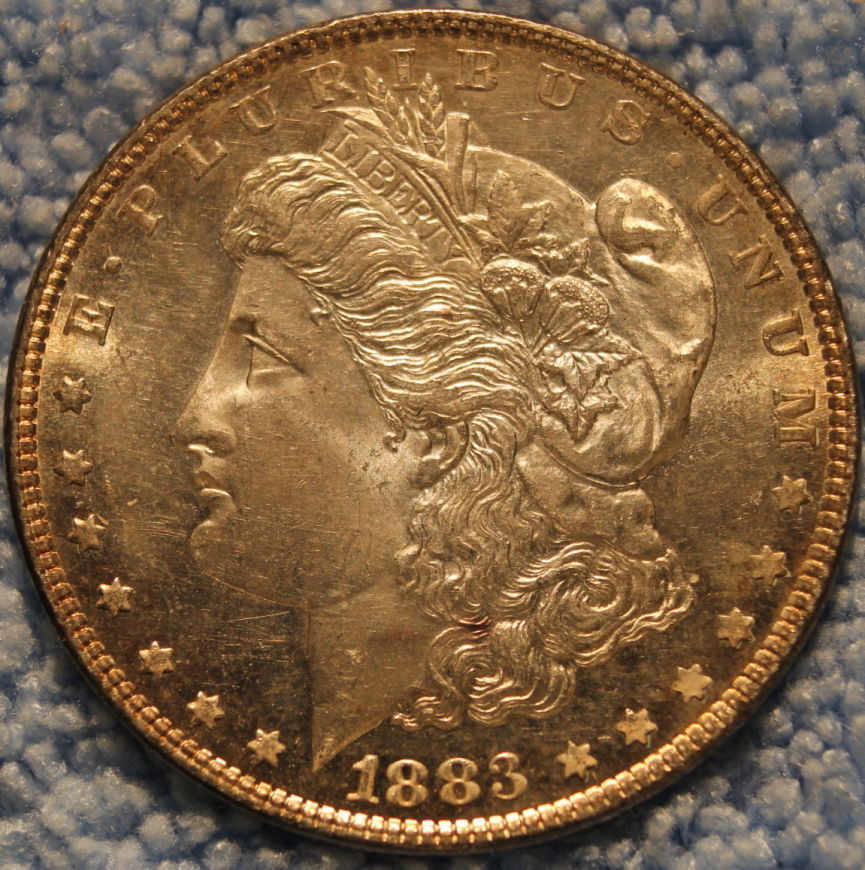 Has-This-Been-Cleaned?