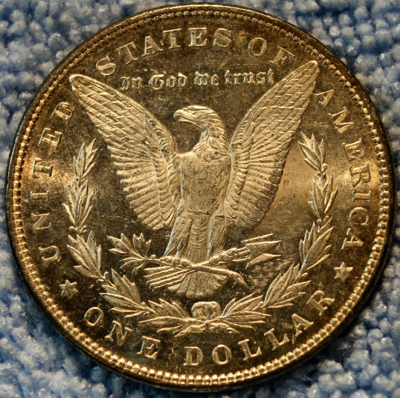 Has-This-Been-Cleaned?