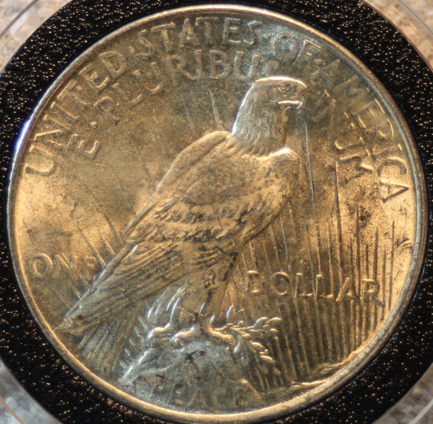 1922-Peace-Dollar-For-Grading-And-VAMming-Please