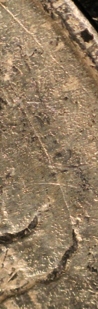 1922-Peace-Dollar-For-Grading-And-VAMming-Please