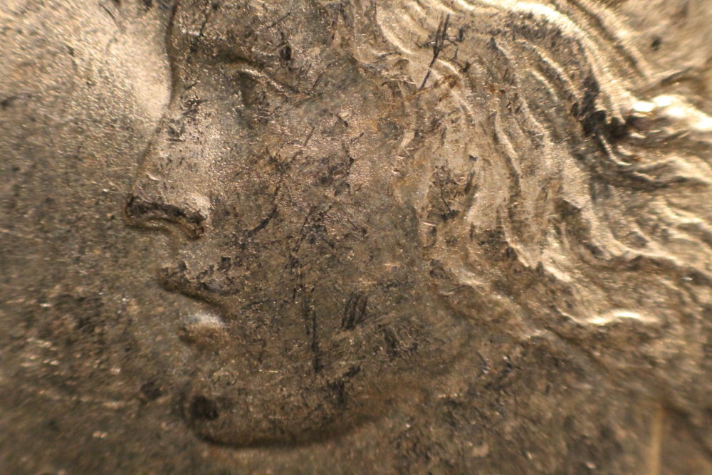 1922-Peace-Dollar-For-Grading-And-VAMming-Please