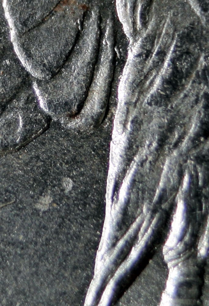 1878-7TF-VAM-Verification.