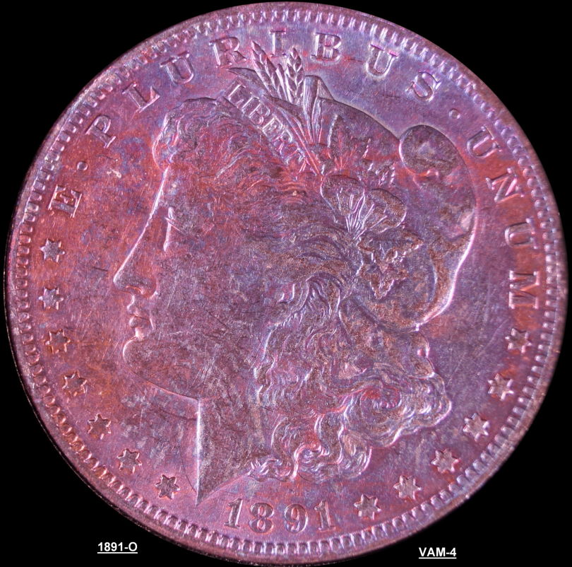 Toned-1891-O-Morgan-For-Grading-Please