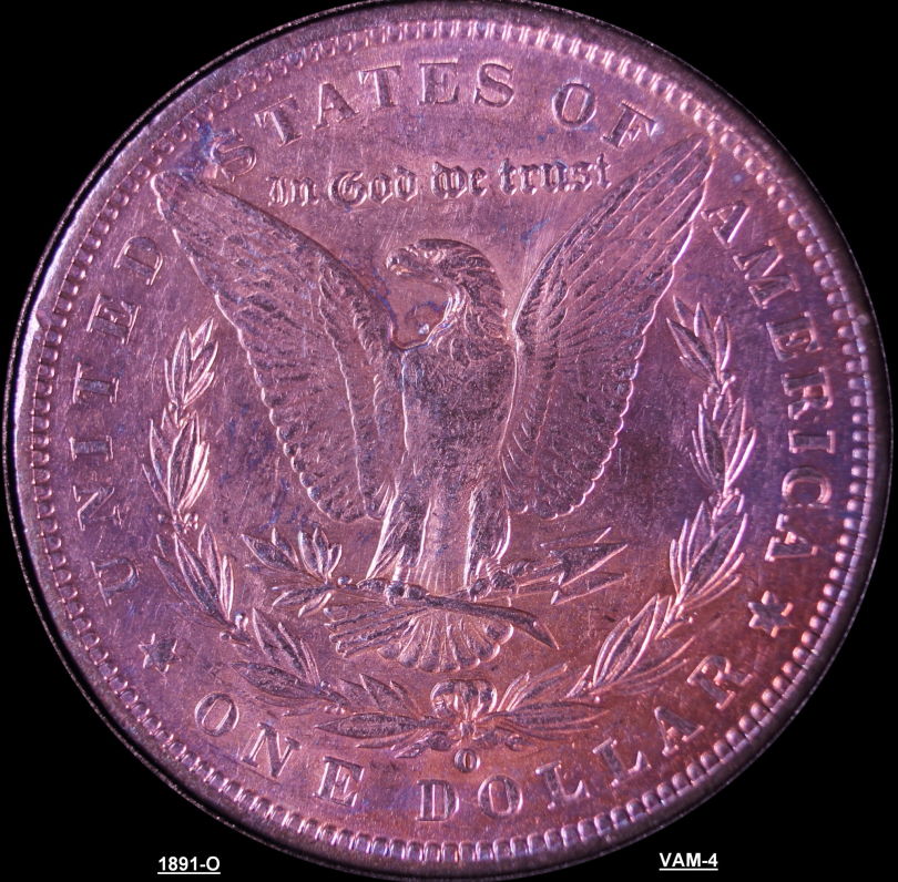Toned-1891-O-Morgan-For-Grading-Please
