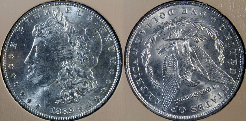 1889-P-Morgan-Dollar...-Rotated-Die?
