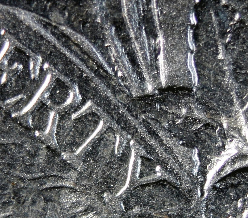 1890-P-Is-This-VAM-17?
