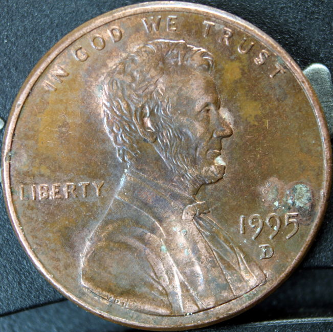 1995-D-LMC-New-Unlisted-Bie?