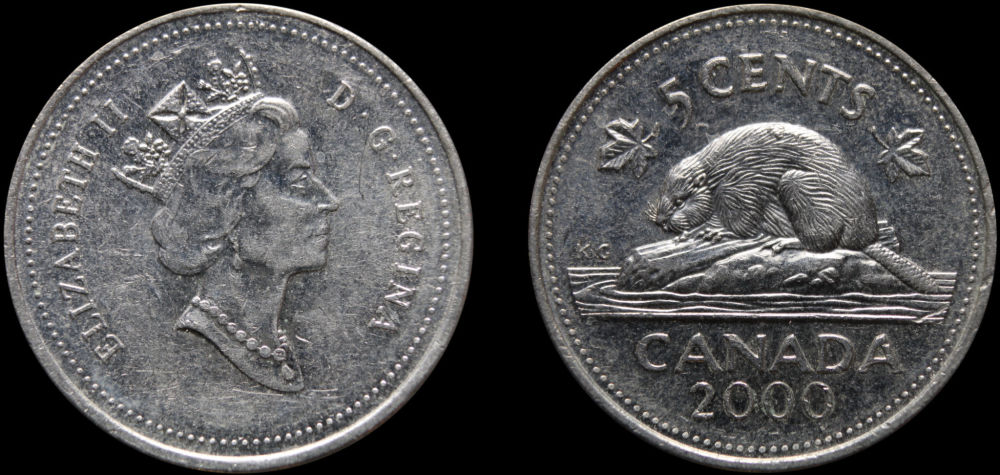 2000-Nickel-Accumulations-On-Back.