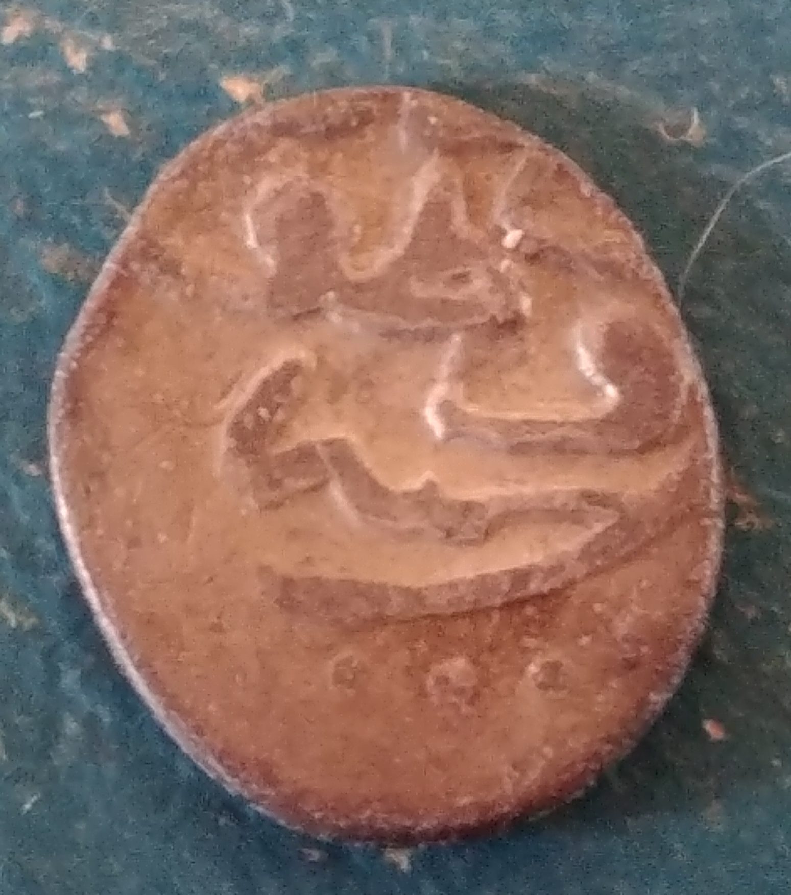 Help-Needed-To-Identify-This-Tiny-One