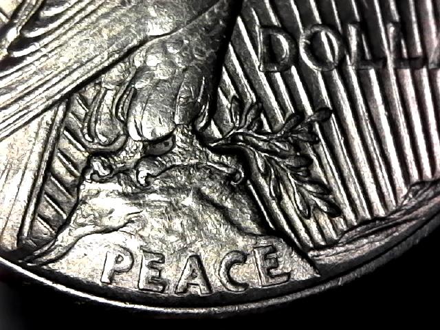 Good-Day,-1921-Peace-Dollar,-I-Need-Help-With-New-Discovery-DDO-Or-VAM?