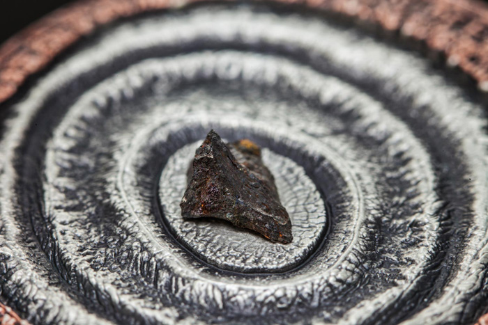 Meteorite-Coins