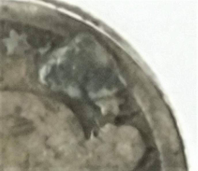 1853-Seated-Liberty-Dime