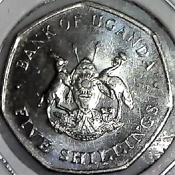Post-Your-Coins-Representing-The-Animal-Kingdom.