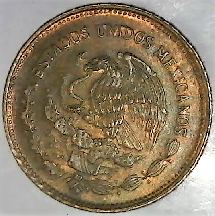 Post-Your-Coins-With-Hats